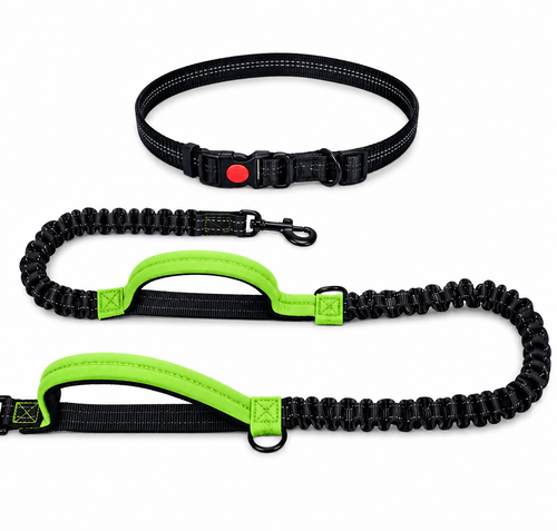 Adjustable Hands-Free Dog Leash for Running and Walking– premium and training gear for dogs by Pet Haven Supply