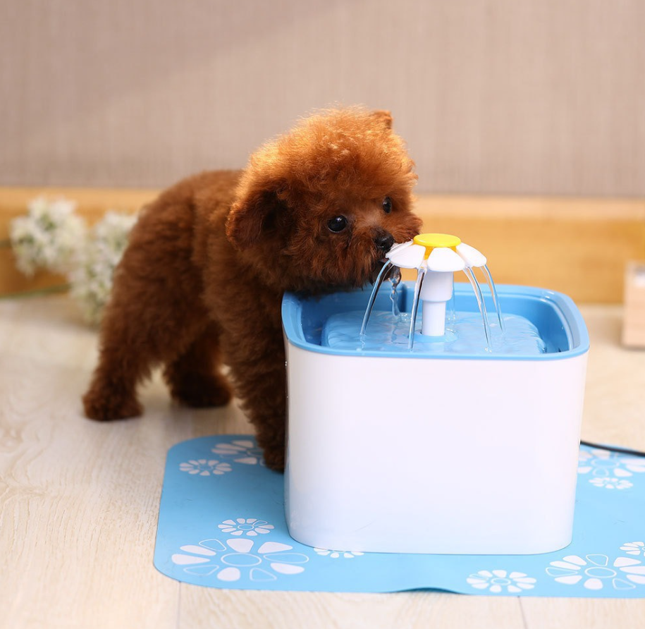 Automatic Circulating Water Dispenser for Pets– premium feeding and hydration accessory for by Pet Haven Supply