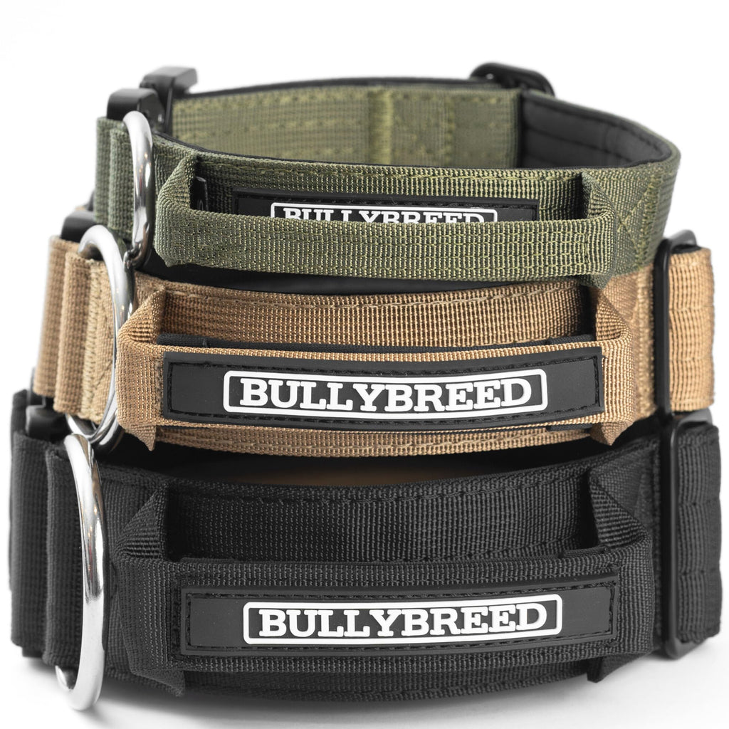 Tactical Quick-Release Dog Collar