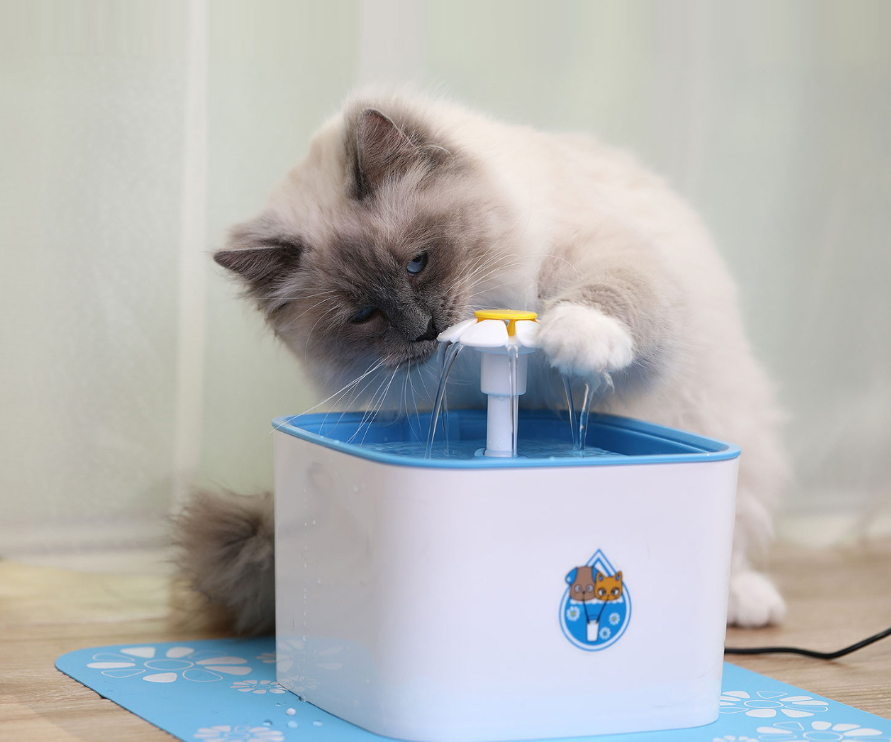 Automatic Circulating Water Dispenser for Pets– premium feeding and hydration accessory for by Pet Haven Supply, in use view