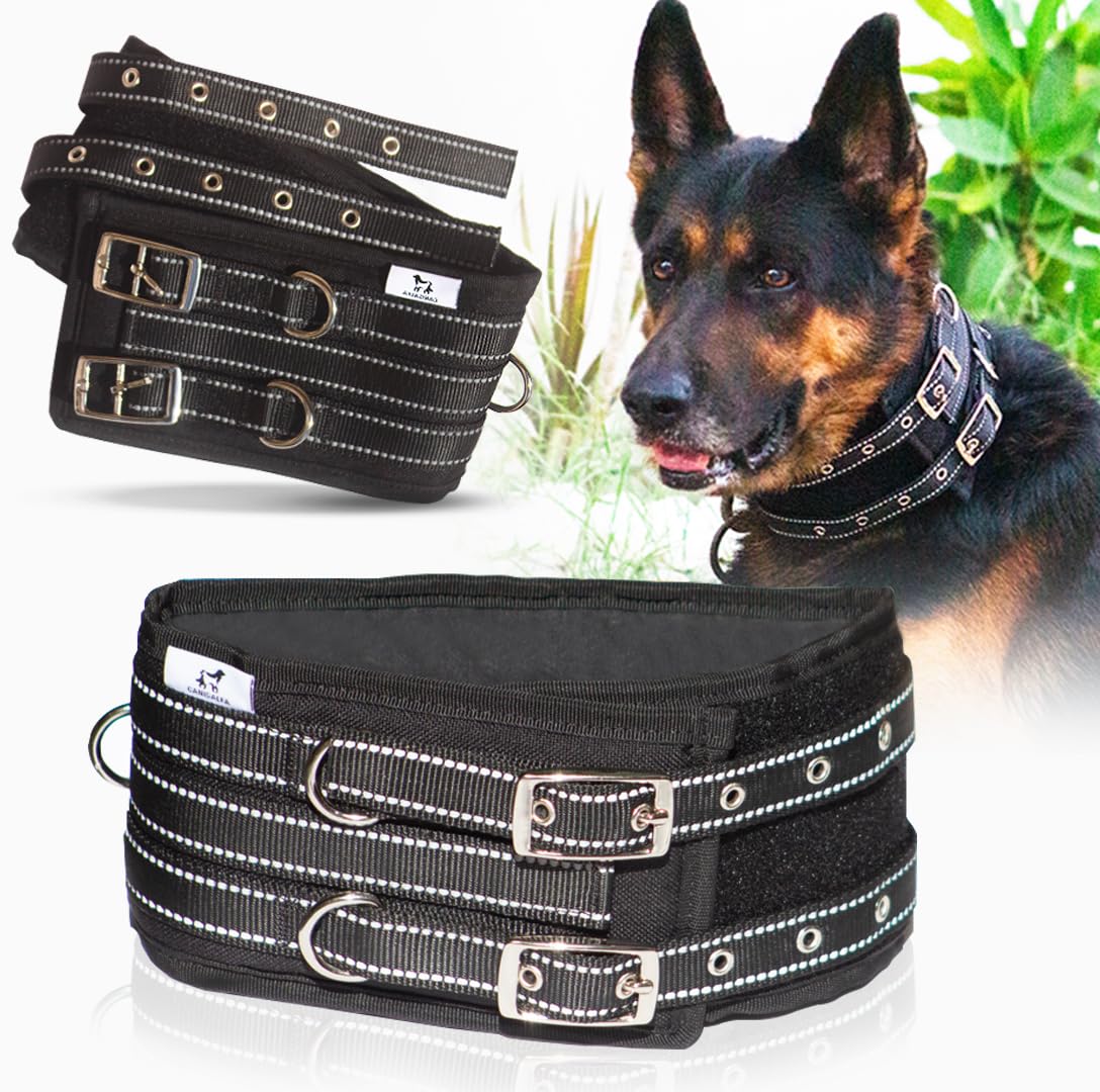 CANISALFA 4" Tactical Heavy-Duty Dog Collar with Handle