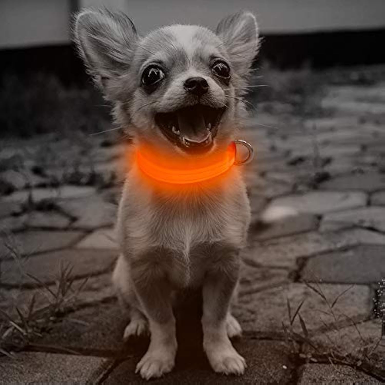 USB Rechargeable LED Glow Collar – High-Visibility & Adjustable