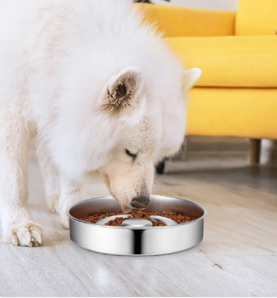 Stainless Steel Pet Slow Feeder– premium feeding and hydration accessory for pets by Pet Haven Supply